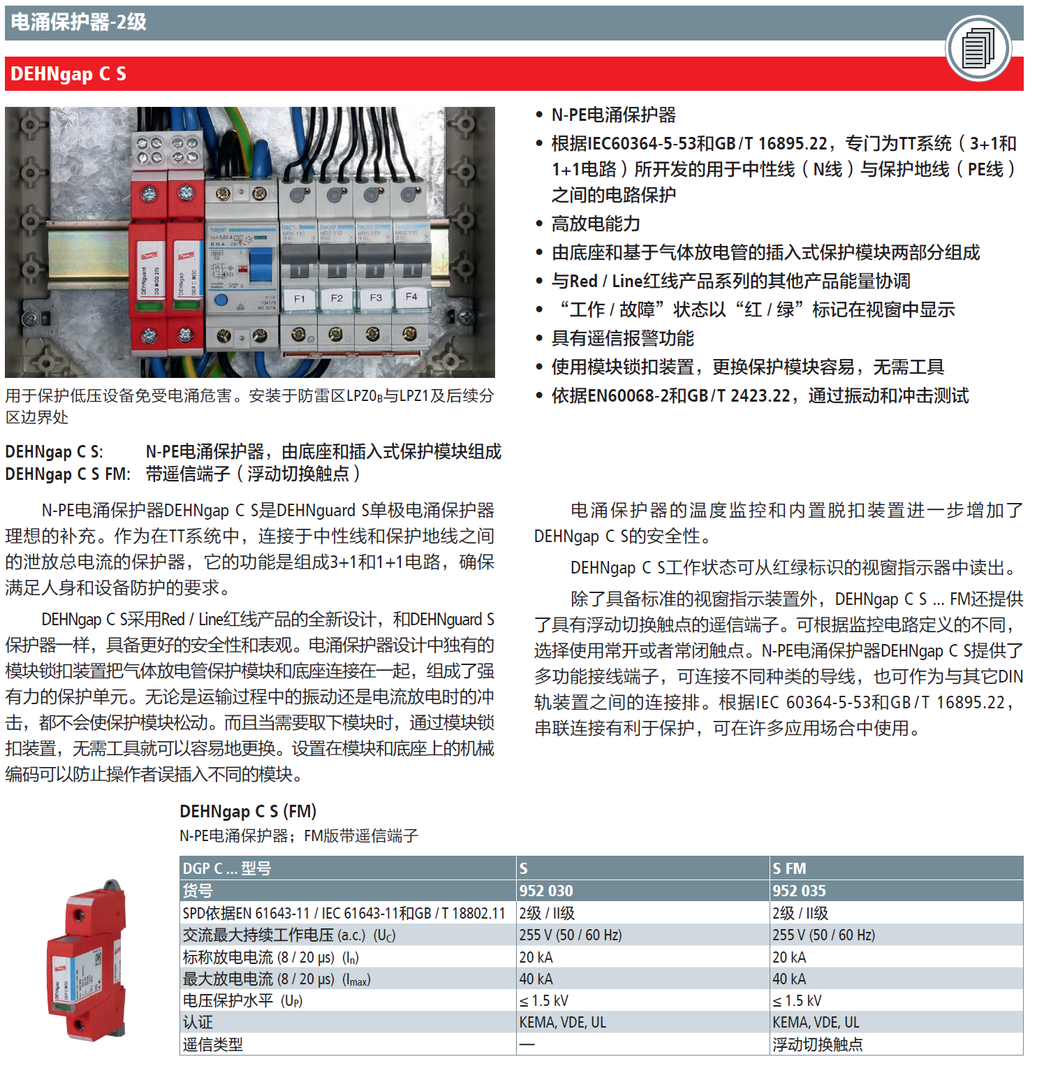 DGP C S(952 030)，DGP C S FM(952 035)